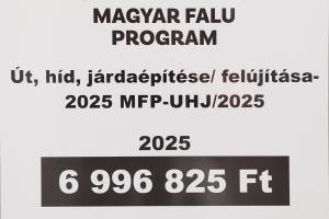 Magyar Falu Program